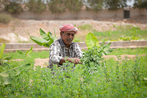 WFP's fight against impact of climate change fuels hope for millions across the Middle East and North Africa