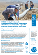 2023 – Kyrgyz Republic - Country Strategic Plan: Strategic Outcome 3: Strengthening food systems and resilience of food-insecure communities exposed to disasters, climate variability and change 